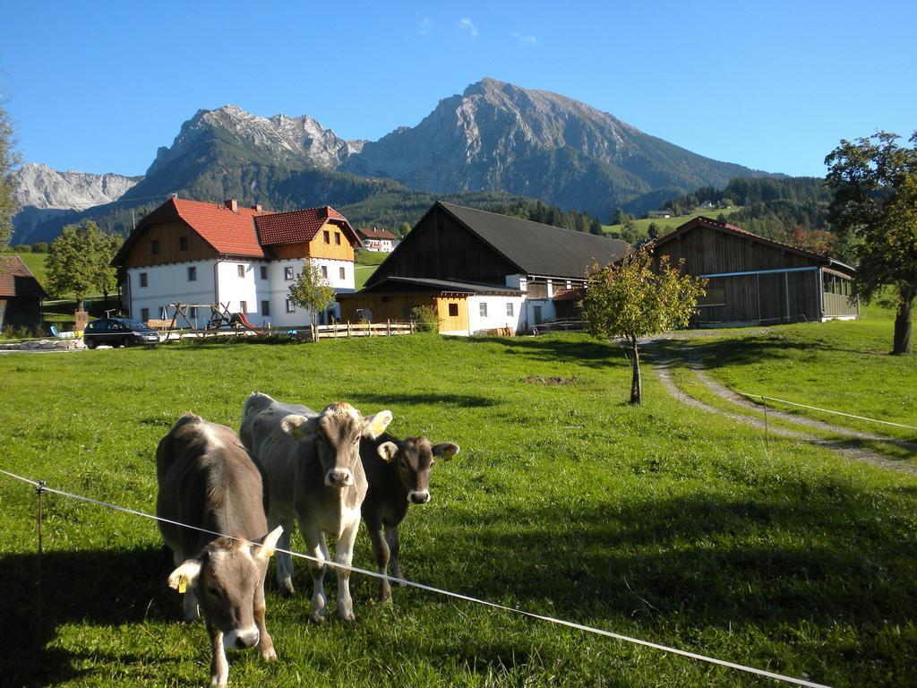 Villa Bio-Urlaubshof Dansbach à Spital Am Pyhrn Extérieur photo