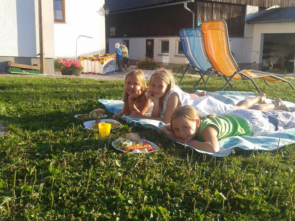 Villa Bio-Urlaubshof Dansbach à Spital Am Pyhrn Extérieur photo
