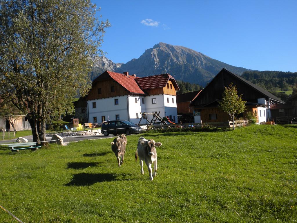 Villa Bio-Urlaubshof Dansbach à Spital Am Pyhrn Extérieur photo